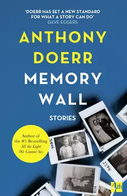 Memory Wall Anthony Doerr