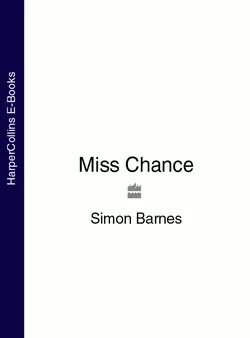 Miss Chance, Simon Barnes