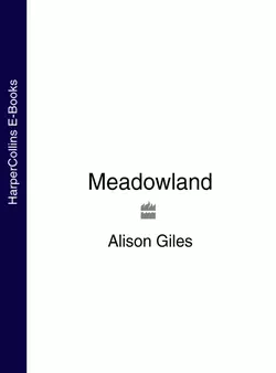 Meadowland, Alison Giles