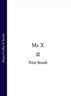 Mr. X, Peter Straub