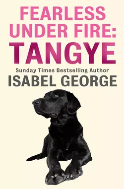 Fearless Under Fire: Tangye Isabel George