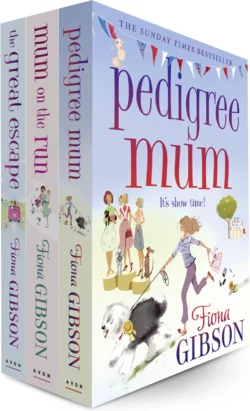 Fiona Gibson 3 Book Bundle Fiona Gibson