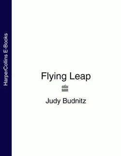 Flying Leap, Judy Budnitz