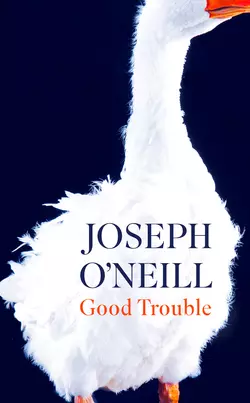 Good Trouble Joseph O’Neill