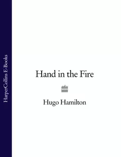 Hand in the Fire, Hugo Hamilton