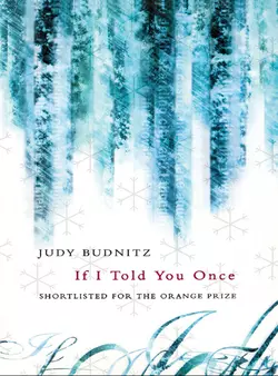 If I Told You Once, Judy Budnitz