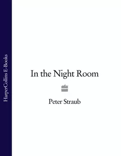 In the Night Room, Peter Straub