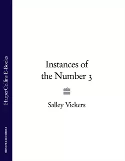 Instances of the Number 3 Salley Vickers