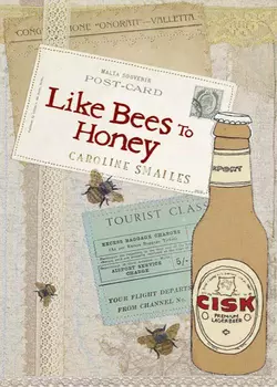 Like Bees to Honey, Caroline Smailes