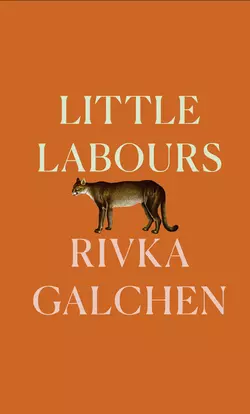 Little Labours Ривка Голчен