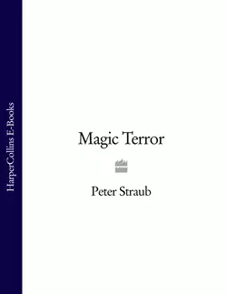 Magic Terror, Peter Straub