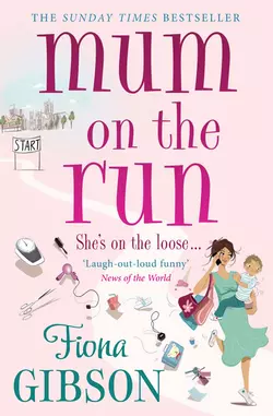 Mum On The Run Fiona Gibson