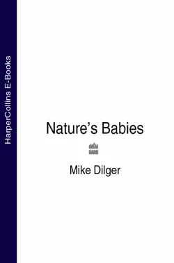 Nature’s Babies Mike Dilger