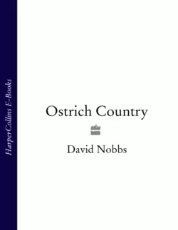 Ostrich Country David Nobbs