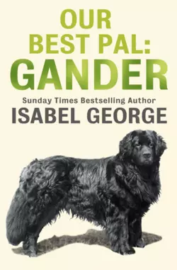 Our Best Pal: Gander, Isabel George