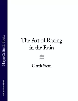 The Art of Racing in the Rain Garth Stein