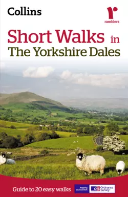 Short walks in the Yorkshire Dales Collins Maps