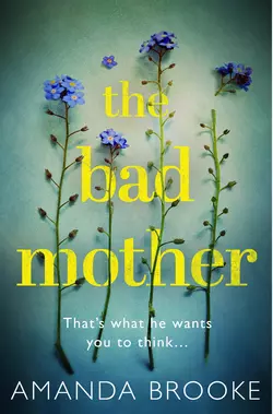 The Bad Mother: The addictive  gripping thriller that will make you question everything Amanda Brooke