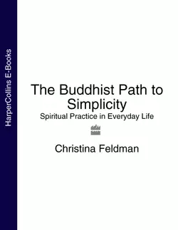 The Buddhist Path to Simplicity: Spiritual Practice in Everyday Life, Christina Feldman