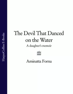 The Devil That Danced on the Water: A Daughter’s Memoir, Aminatta Forna