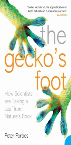 The Gecko’s Foot: How Scientists are Taking a Leaf from Nature′s Book Peter Forbes