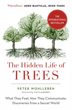 The Hidden Life of Trees: The International Bestseller – What They Feel  How They Communicate Peter Wohlleben