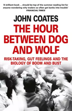 The Hour Between Dog and Wolf: Risk-taking, Gut Feelings and the Biology of Boom and Bust, John Coates