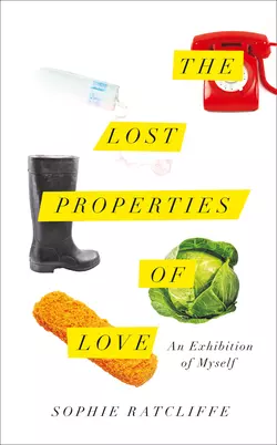 The Lost Properties of Love Sophie Ratcliffe