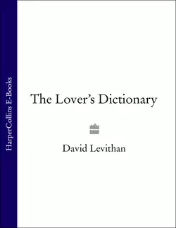 The Lover’s Dictionary: A Love Story in 185 Definitions Дэвид Левитан