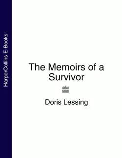 The Memoirs of a Survivor, Дорис Лессинг