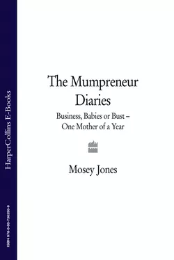 The Mumpreneur Diaries: Business, Babies or Bust - One Mother of a Year, Mosey Jones