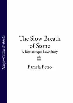 The Slow Breath of Stone: A Romanesque Love Story, Pamela Petro