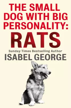 The Small Dog With A Big Personality: Rats Isabel George