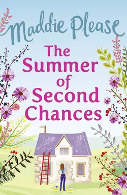 The Summer of Second Chances: The laugh-out-loud romantic comedy, Maddie Please