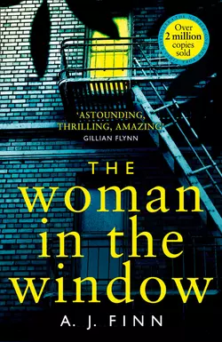 The Woman in the Window: The most exciting debut thriller of 2018 A. Finn