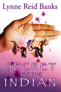 Secret of the Indian Lynne Banks