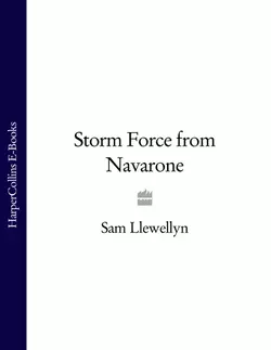 Storm Force from Navarone, Sam Llewellyn