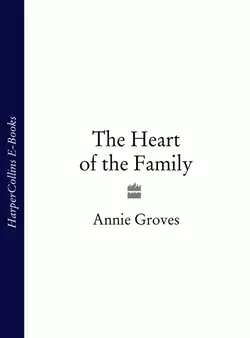 The Heart of the Family Annie Groves