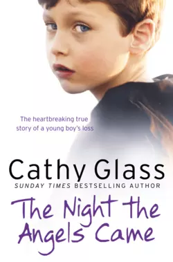 The Night the Angels Came, Cathy Glass