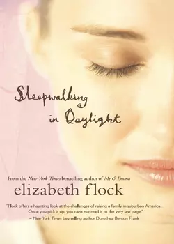 Sleepwalking in Daylight Elizabeth Flock