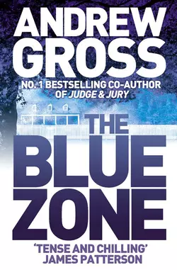 The Blue Zone, Andrew Gross