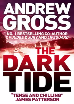 The Dark Tide Andrew Gross