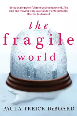 The Fragile World Paula DeBoard