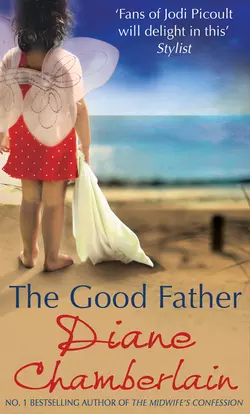 The Good Father, Diane Chamberlain