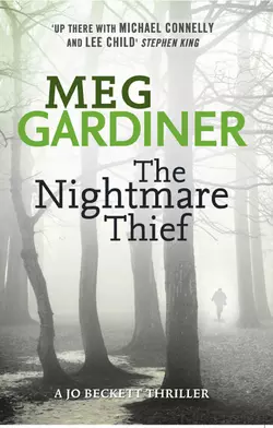 The Nightmare Thief, Meg Gardiner