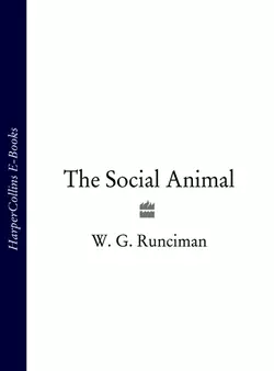 The Social Animal, W. Runciman