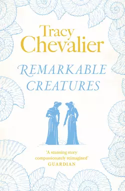 Remarkable Creatures, Tracy Chevalier