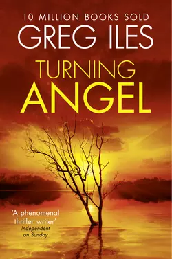 Turning Angel Greg Iles