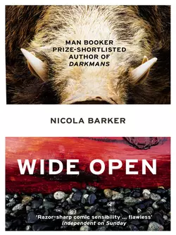 Wide Open, Nicola Barker