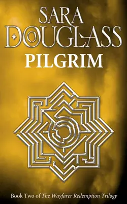 Pilgrim Sara Douglass